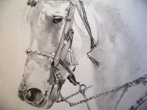 Fiesta - Pencil Drawing